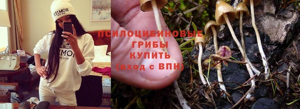 соль курить ск Арсеньев