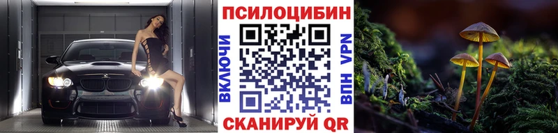 Псилоцибиновые грибы MAGIC MUSHROOMS  купить  цена  Удачный 